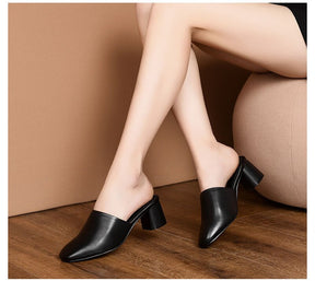 Salto Ortopédico Comfort + Brinde Exclusivo